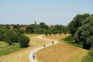 Elberadweg bei Wittenberge © TMB-Fotoarchiv/Böttcher+Tiensch
